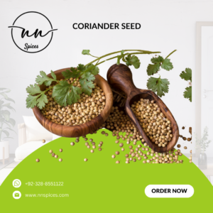 coriander-seed